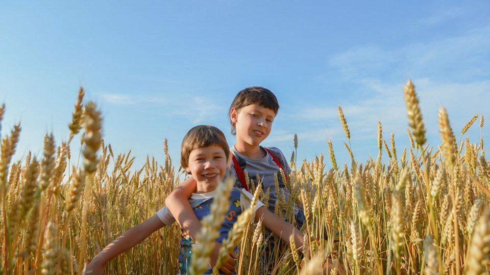 С Днем Рождения Поля открытка скачать бесплатно