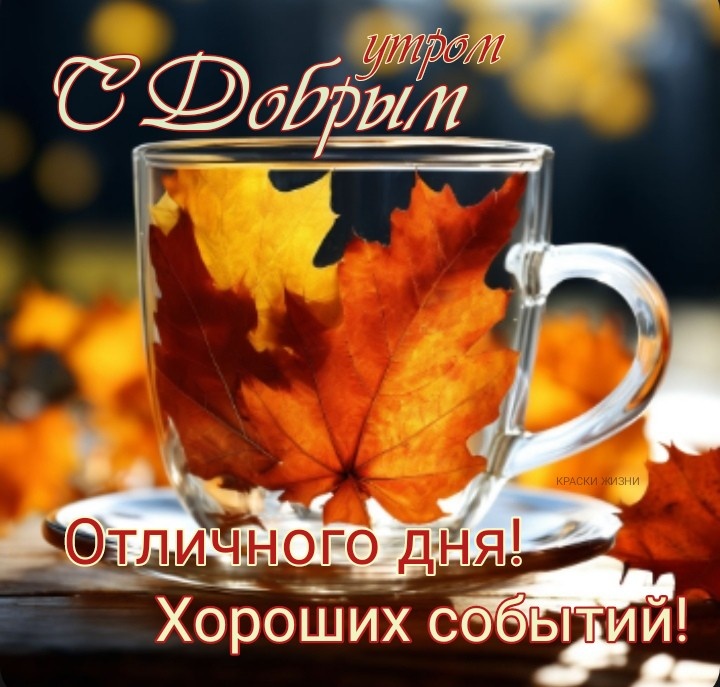 Наталья Колмыкова | 🌤️🍂🍁❄️💐🌺🌹🌻🌾🤗🌨️ Доброе утро