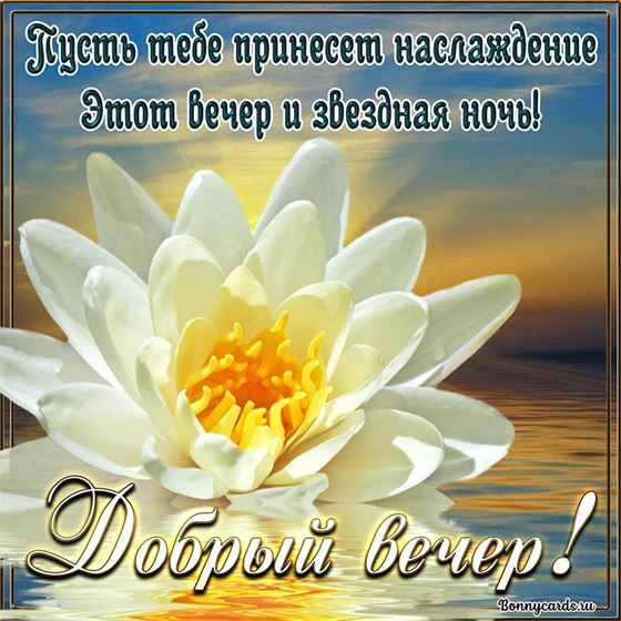 Великодушная гиф