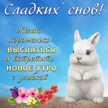 Доброй ночи! Добрых снов!