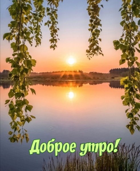 Природа с добрым утром картинки 