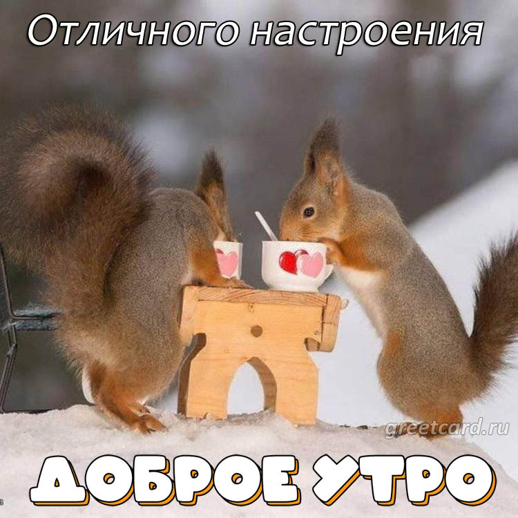 Снежные открытки С Добрым Утром! 