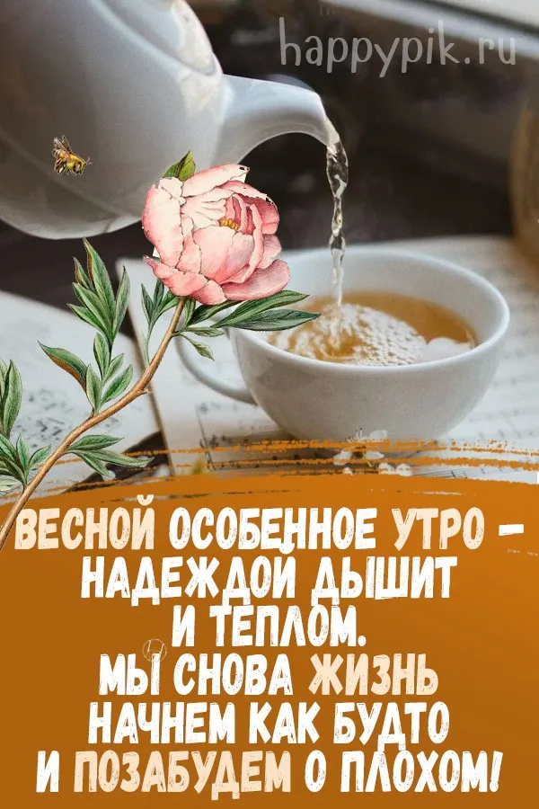 Замечательной всем пятницы