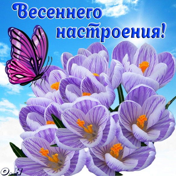 С Наступающим Нас, девочки!💗Желаю всем нам здоровья, любви