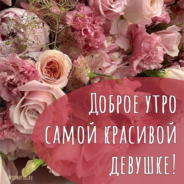 ❤️❤️❤️ Доброе утро, любимая ❤️❤️❤️ Самое красивое