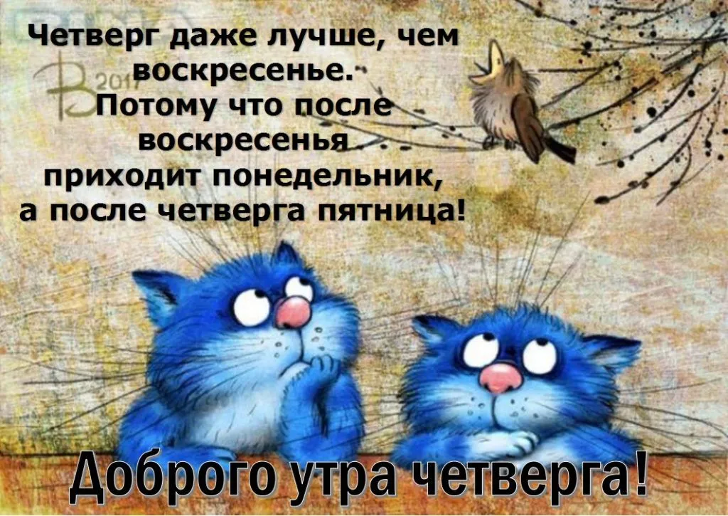 Доброе Утро Коллеги Юмор