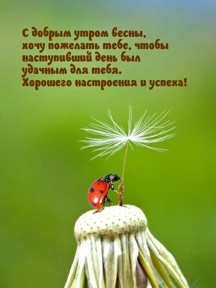 💌☀️😄 Картинки Хорошего дня