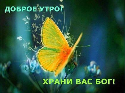 Доброе Утро Божьей Благодати На Весь