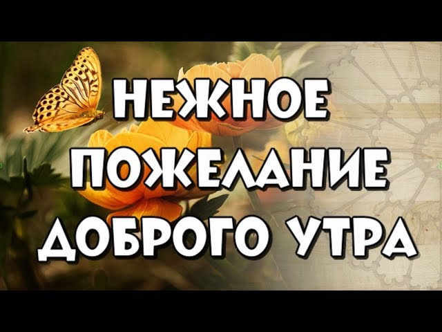 Прикольные картинки Доброе утро 👍 😄