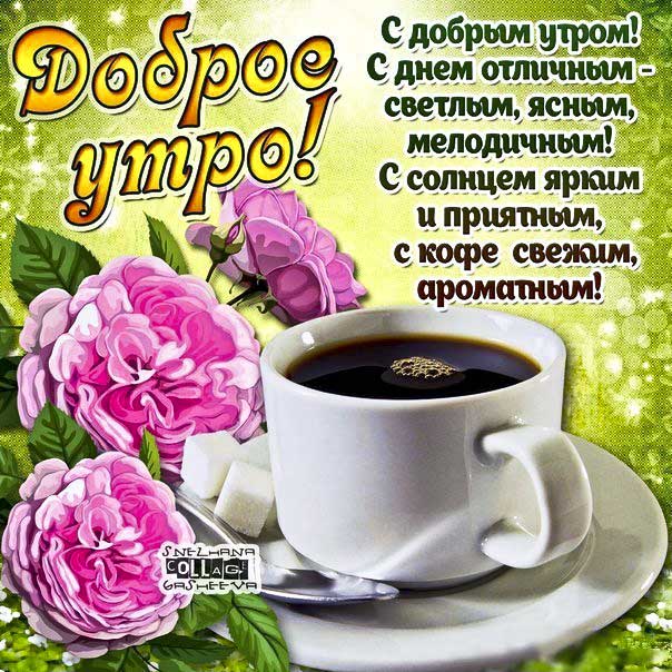 Скачать картинки Good morning, стоковые фото Good morning в