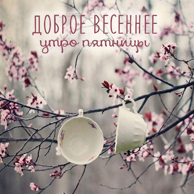 Картинки доброе весеннее утро пятницы | hurrytolove.ru