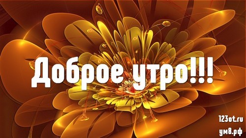 Картинки С Добрым Утром, Дорогая! 