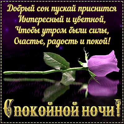 УЮТНОЙ НОЧИ! СЛАДКИХ СНОВ!