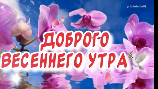 С добрым утром