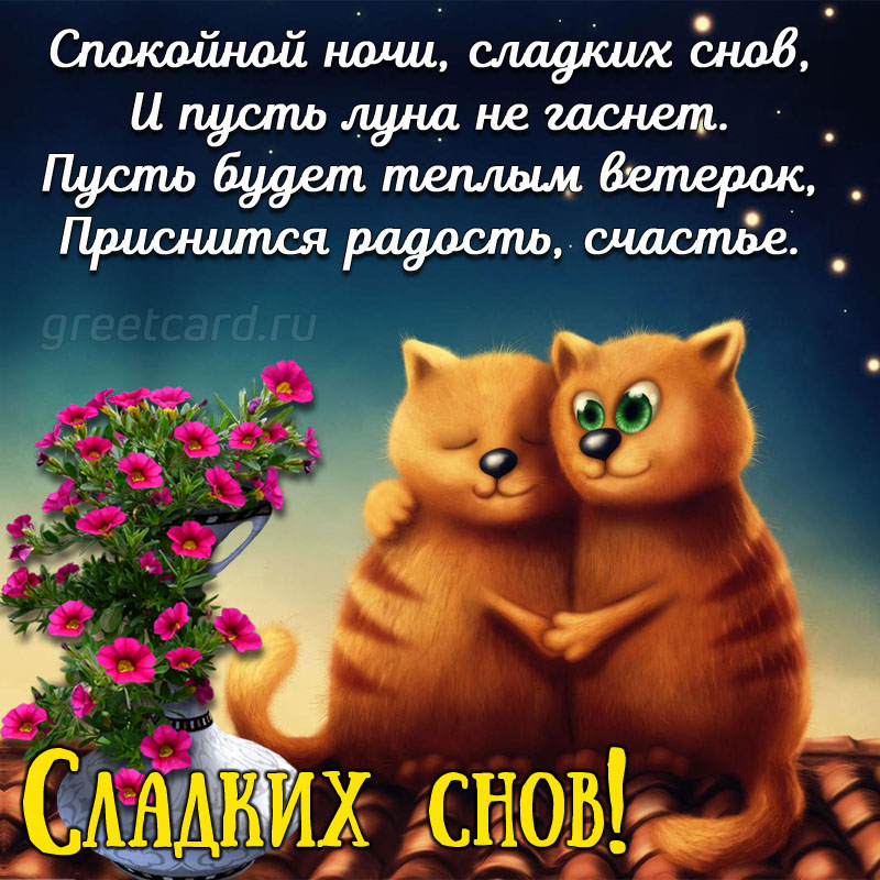 💗 Красивое пожелание спокойной ночи. Спокойной ночи