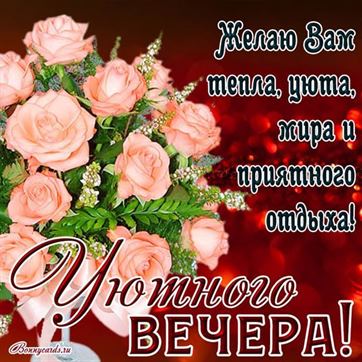 Желаю отличного вечера! | Нина Ждек | ВКонтакте