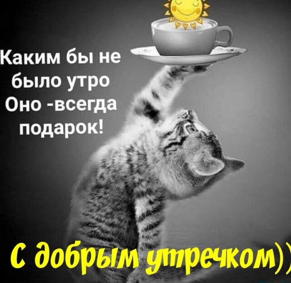 Прикольные картинки Доброе утро 👍 😄