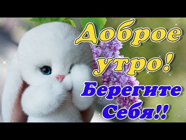 Доброе утро обнимаю картинки