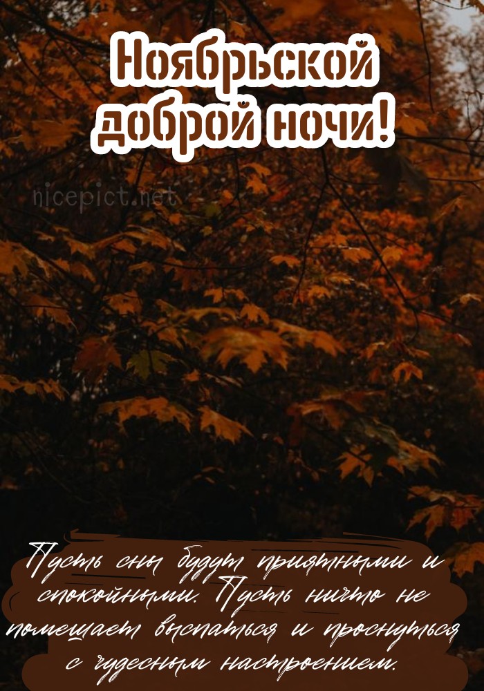 Доброй ночи!: mary_hr5 — LiveJournal