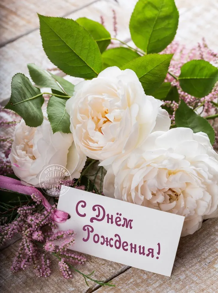 С днём рождения, солнышко! ❤️🌹🌹🌹