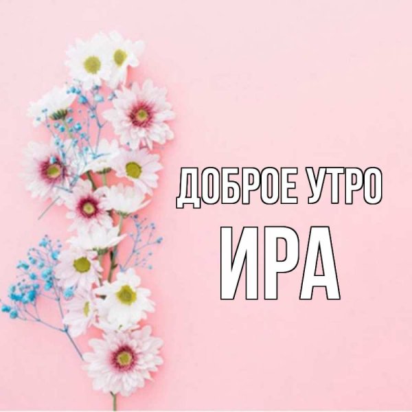 Самого прекрасного утра картинки