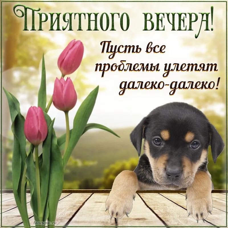 всем#прекрасного#субботнего#вечера#хорошегонастроения | TikTok