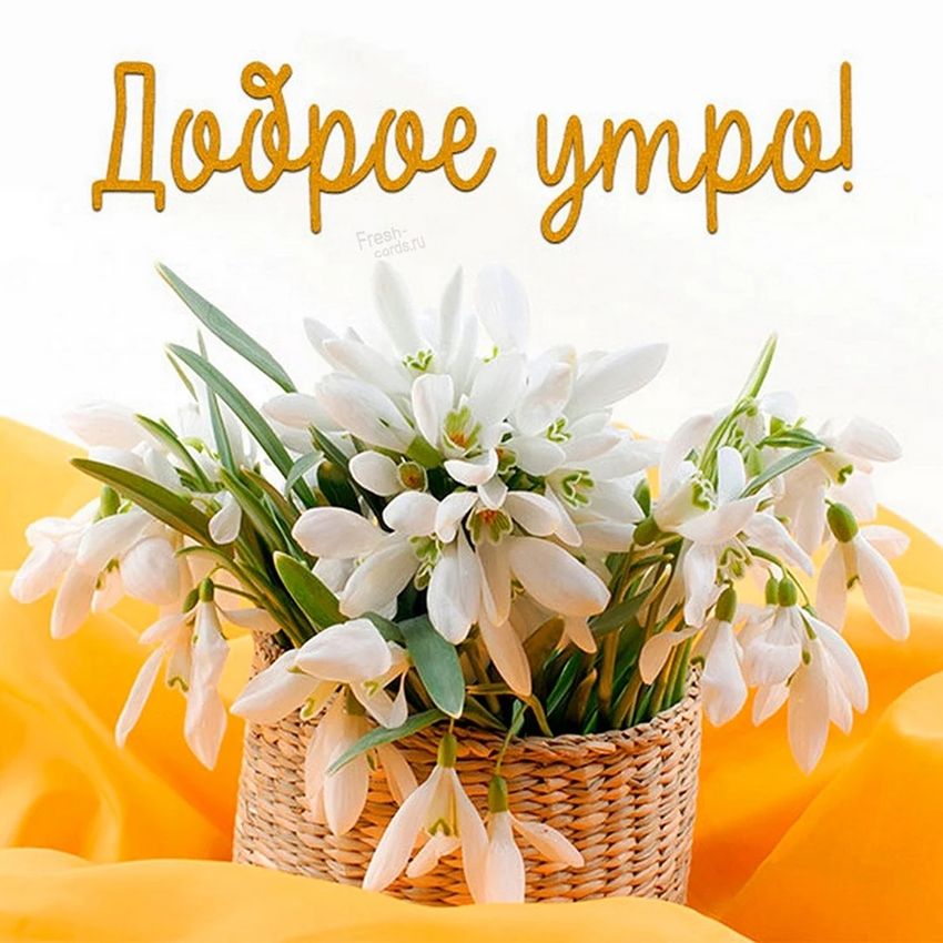 Открытка весна природа купить Украина | Открытки для души