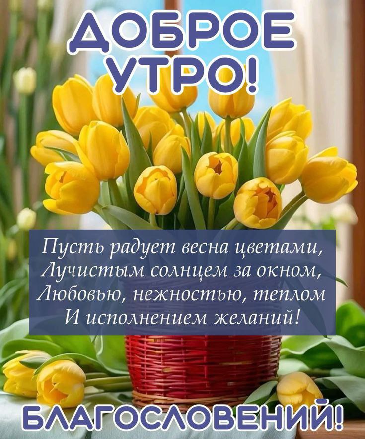 💙☀🌼С добрым утром, день