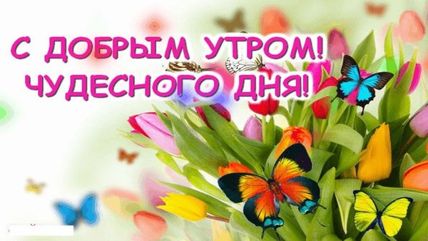 ДОБРОЕ УТРО! 🌞 ХОРОШЕГО ДНЯ и НАСТРОЕНИЯ! — Открытки на