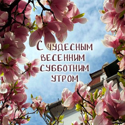 Картинки доброе субботнее утро весна красивые с надписями 