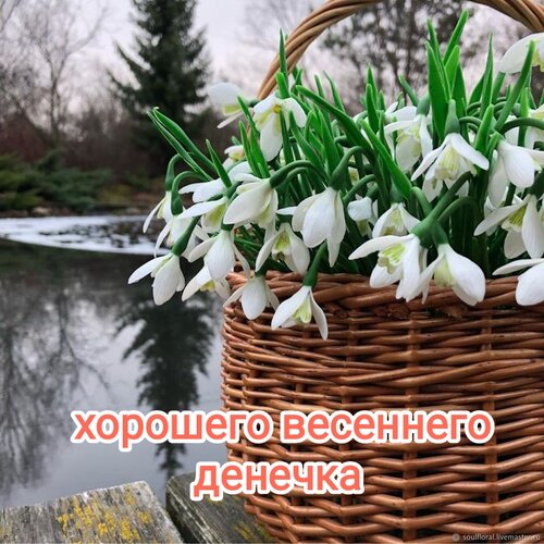 Хорошего весеннего дня