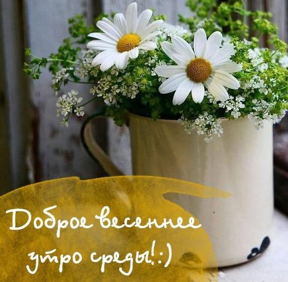 🌞🌼☕Самого доброго весеннего утра!💗Благословенного дня