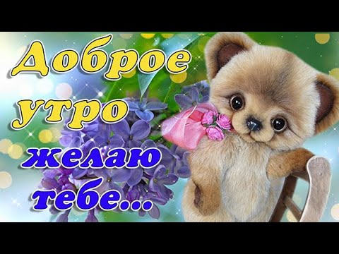 Доброе утро с плюшевым медвежонком Стоковое Изображение