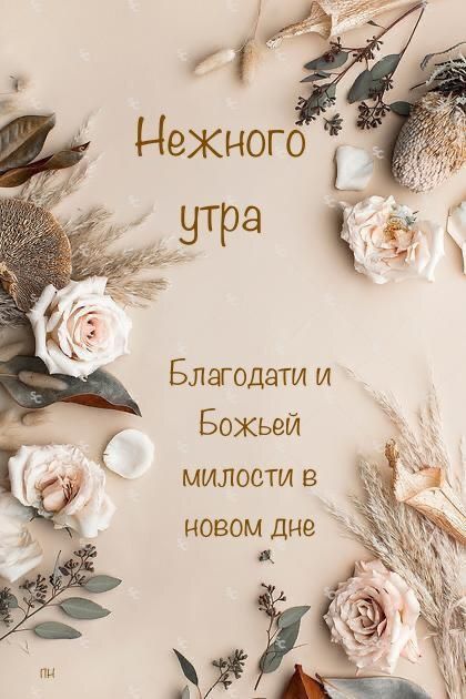 ЖЕЛАЮ ВАМ ВСЕМ ДОБРОГО ВЕЧЕРА!!!!🌹🌹🌹 Християнское