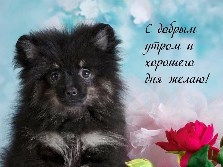 ❤️❤️❤️ Доброе утро, любимая ❤️❤️❤️