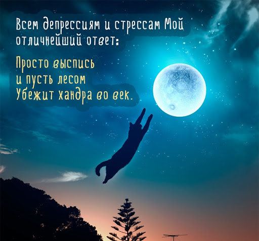 ДОБРОЙ НОЧИ💙 А хочешь, я тебе открою тайну Красивое