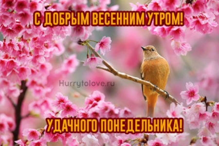 🌸✨🌸 С ДОБРЫМ АПРЕЛЬСКИМ УТРОМ