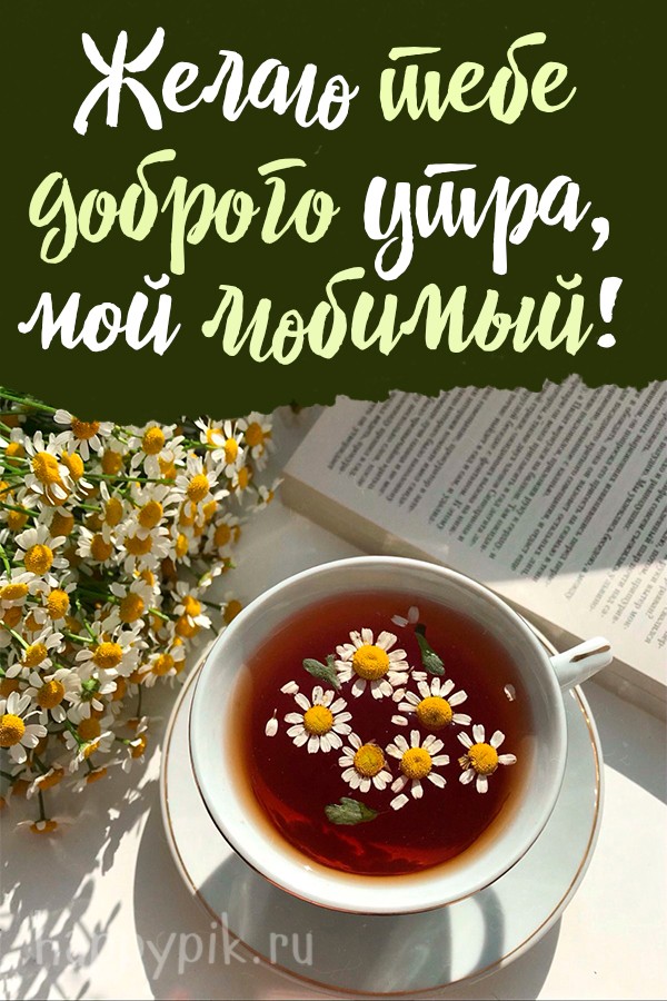 ☕ Доброе утро, любимый! Красивое нежное пожелание доброго