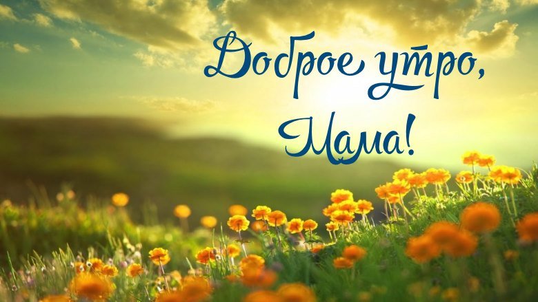 💗 Веселая, смешная, позитивная открытка! Доброе утро, мама