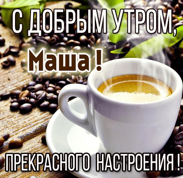 Купить Маша и Медведь