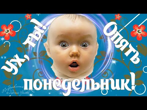 Смешные картинки про понедельник | ХаХашка | Дзен