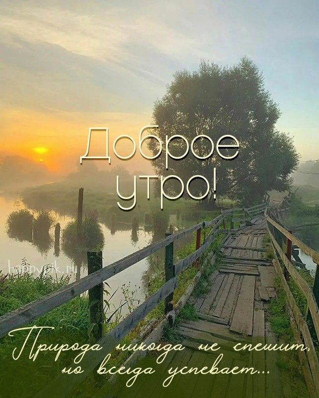 Картинка природа 