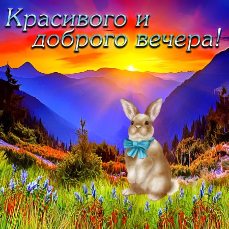 BipBap.ru