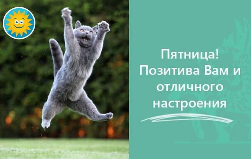 Смешные картинки Пятница для поднятия