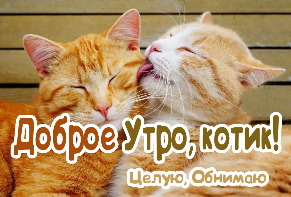 Картинка доброе утро любимый | Открытки Онлайн