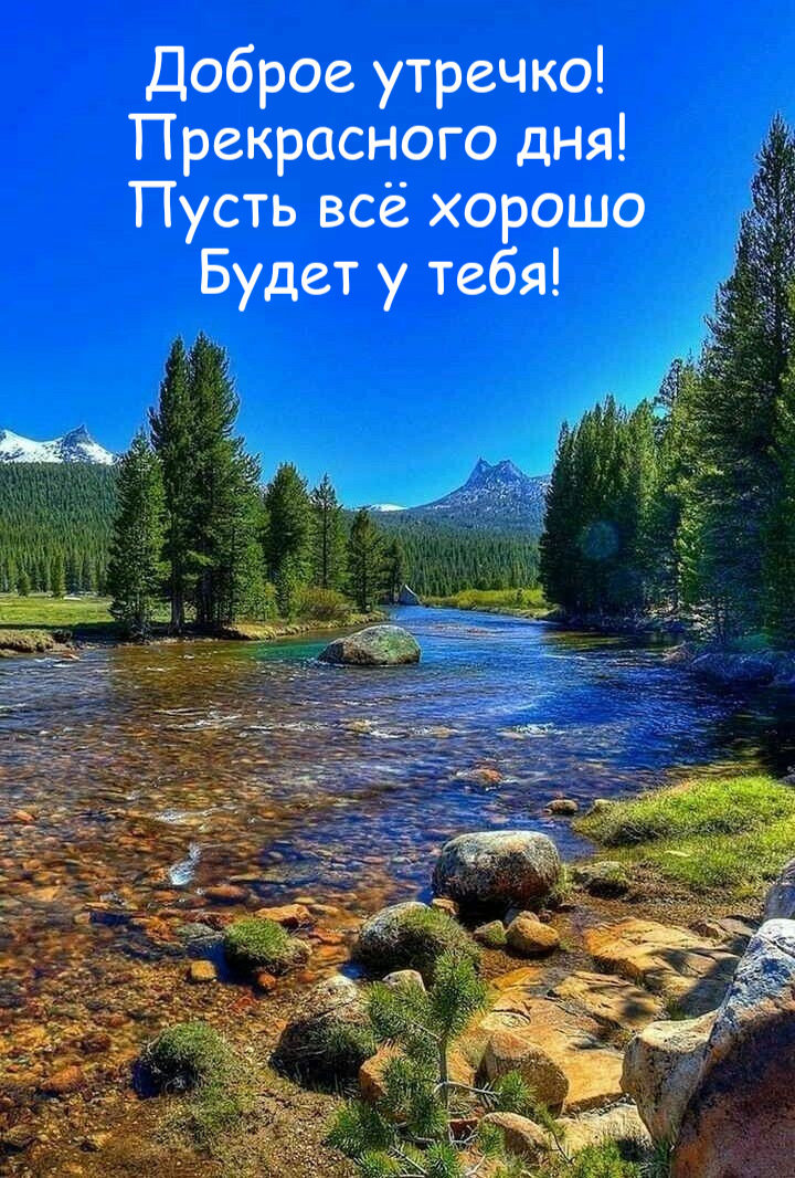 Лето Утро Природа Фото Мерцающие