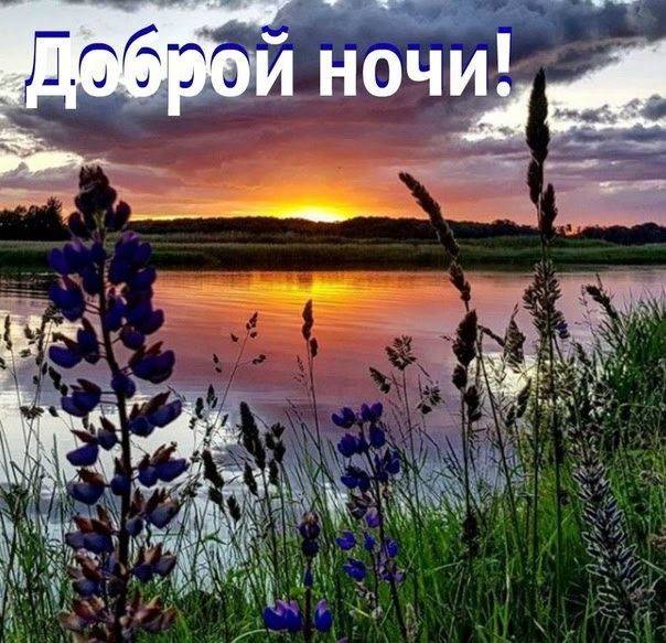 Природа Позитив Релакс