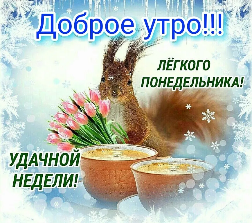 Доброе утро, друзья 🤗 Всем лёгкого понедельника и отличного