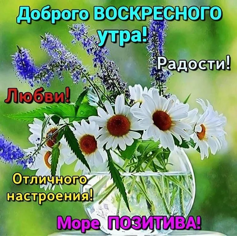 Доброе осеннее утро 