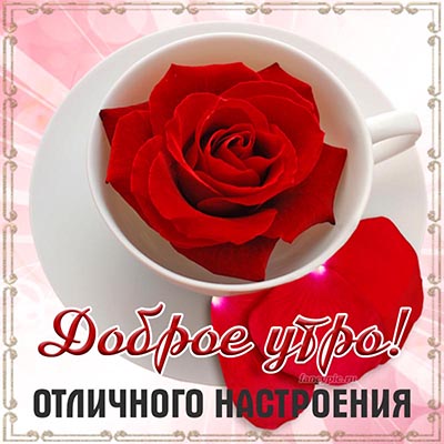 ❤️❤️❤️ Доброе утро, любимая ❤️❤️❤️